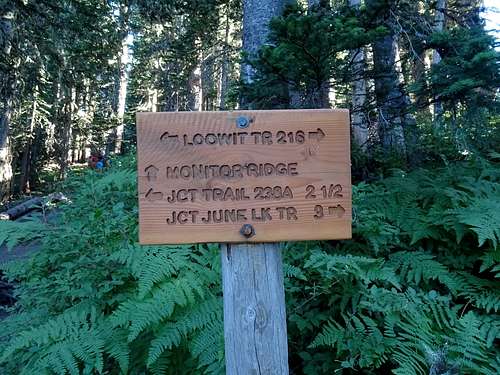 St Helens:  Ptarmigan Trail Crosses Loowit Trail