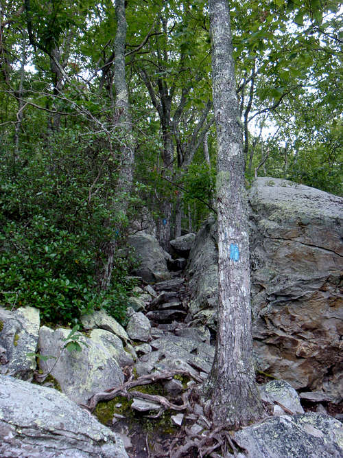 The Steep Blue Blazed Trail