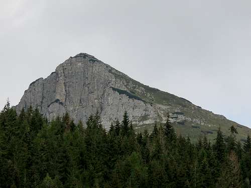 Limestone crag