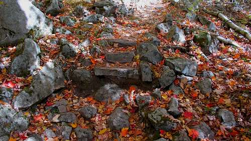 Red Maple Leaves Define Rock Stairway