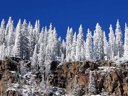 Frosted Trees on Crag Crest