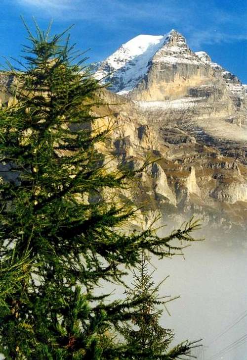 Jungfrau peak seen from...