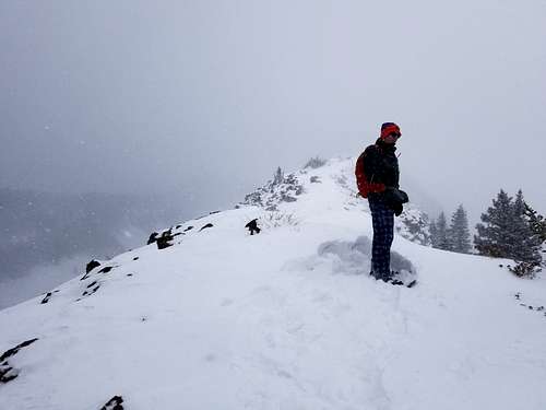 A Cold and Snowy Day on Crag Crest
