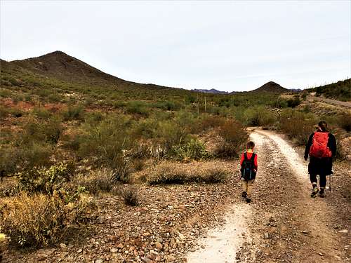 Walking back on the dirt road with Francis Roberts Mountain on the left