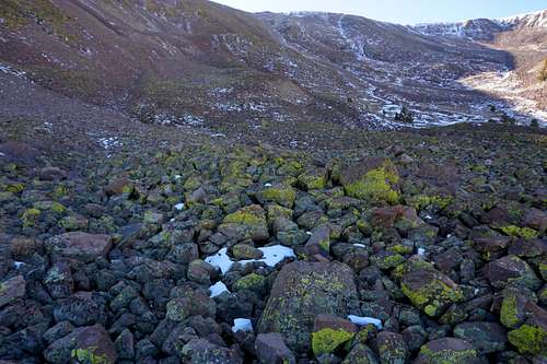 Lichen-covered rocks just below the special research area of Nevada's Mt. Jefferson; late Nov. 2020
