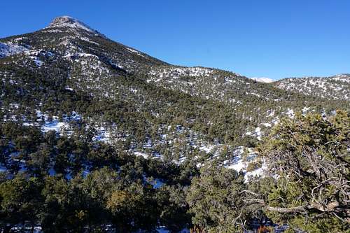 Approaching unnamed peak on west side of Monitor Valley