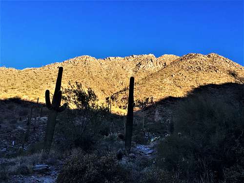 McDowell Mountain from the trail to Bell Pass