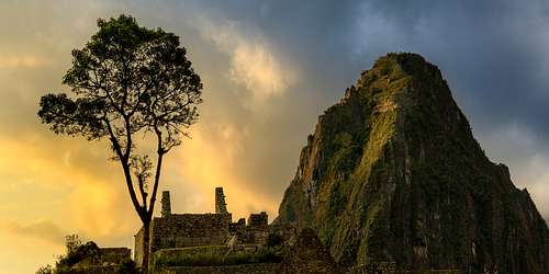 Huayna Picchu and Tree