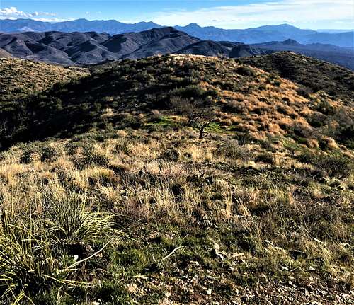 Kentuck Mountain seen from Quien Sabe Peak