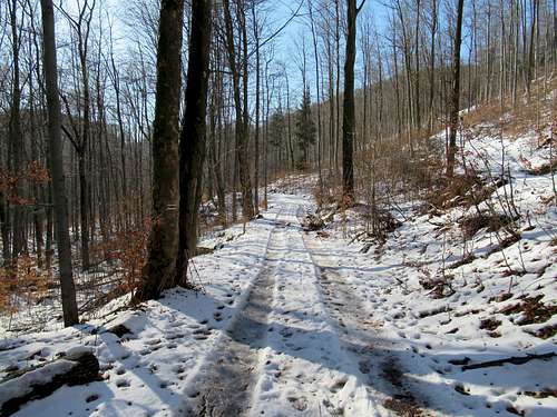 Red Trail near Jedlina Zdrój