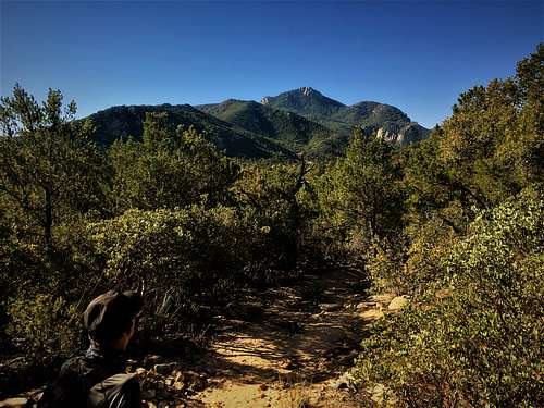 First clear view of Rincon Peak from the trail