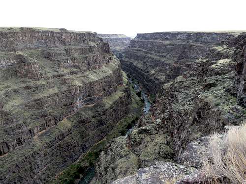 Bruneau Canyon Rim North of Viewpoint