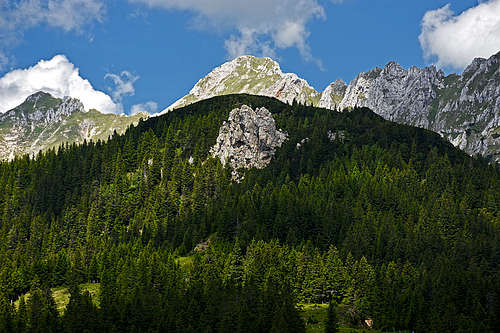 Plešivec from the SE