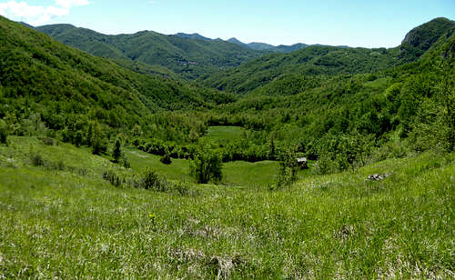 A wooded valley at the foot of Monte Proventino
