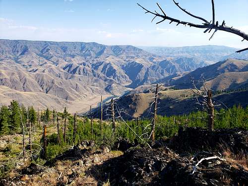 Looking north into Hells Canyon