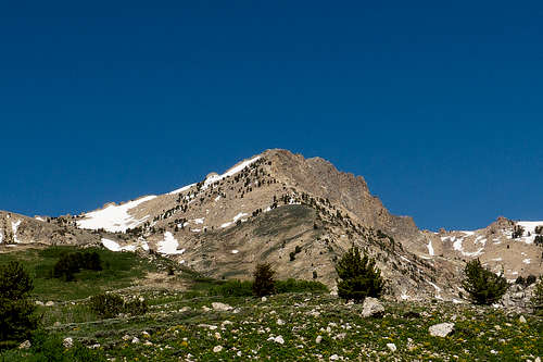 King Peak (Ruby Mountains)