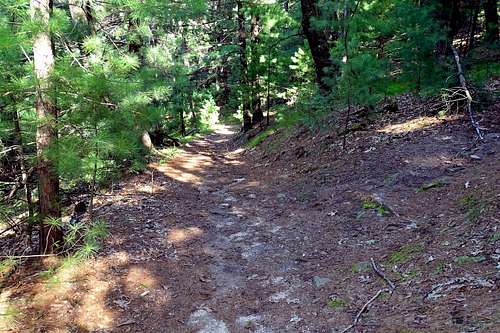 Main Trail on West Side of Petenwell Rock