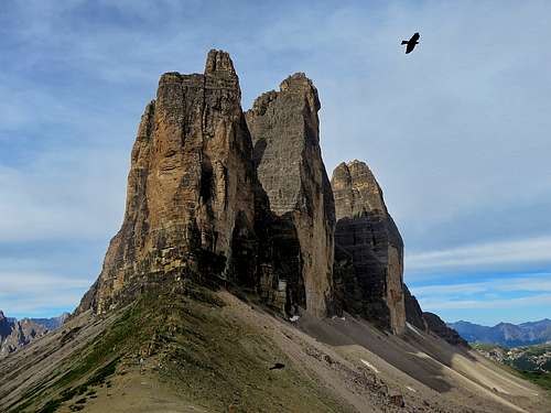 Birds are looking for the easiest way to Tre Cime