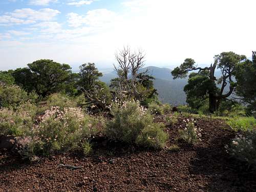 Looking east from near the summit