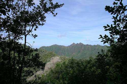View from the trail to the NE