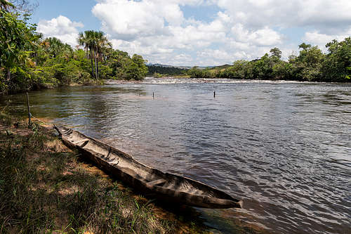kuarin (cotingo in portuguese) river
