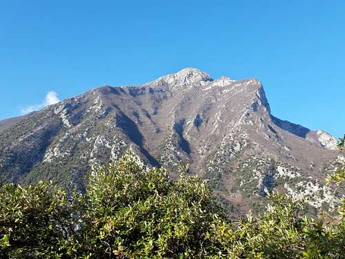 Monte Pizzocolo South Ridge