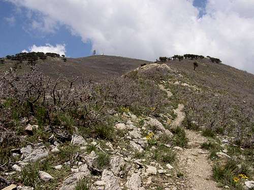 Looking up the south ridge to...