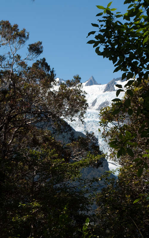 Hike to Alex Knob 17 (Franz Josef Glacier)