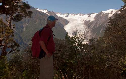 Hike to Alex Knob 32 (Cliff & Franz Josef Glacier)