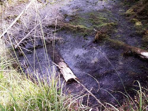 Izera forests 36 – Water on peat bog...