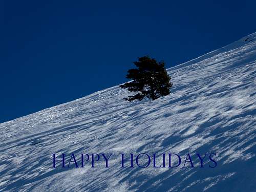 Happy Holidays to all!!!
