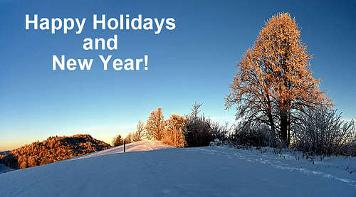 Happy holidays and new year!