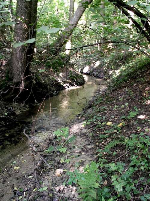 Strzelin forests 21 – Pogródka stream…