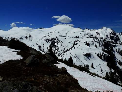 View toward Bacon Peak from hill 5560