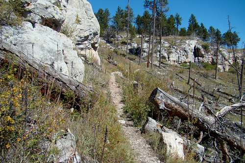 Upper Rim Trail View