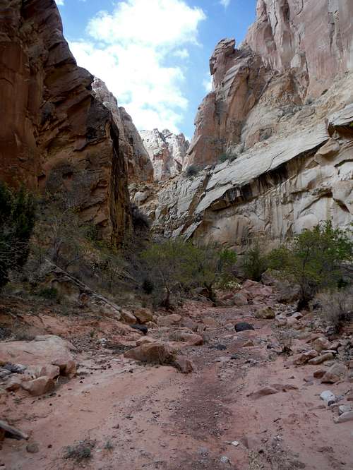 'Typical' Lower Spring Canyon