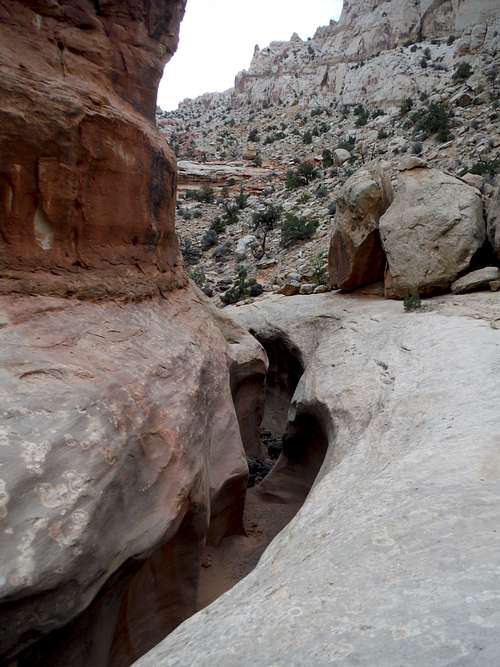 Dryfall Complex Section - Lower Spring Canyon