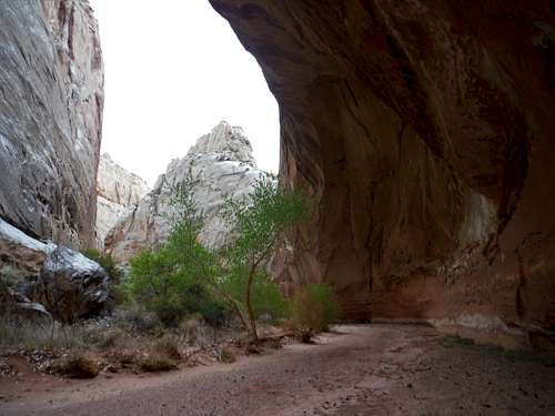 Lower Spring Canyon - Overhang