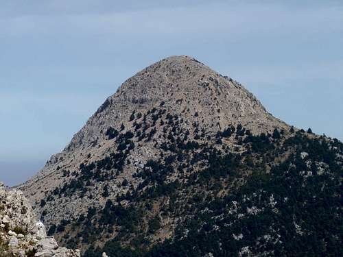 Cone of Artemisio from the South (far)