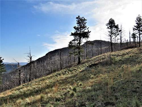 Summit of Monjeau Peak from the junction of Telephone Canyon and Crest Trails