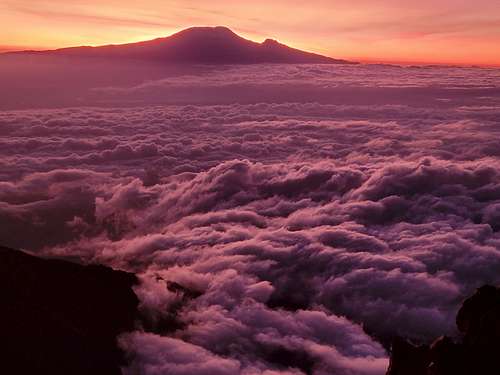 A view of Kilimanjaro across the clouds as seen from Mount Meru