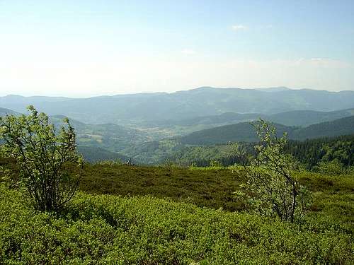 Munster valley from Gazon du...