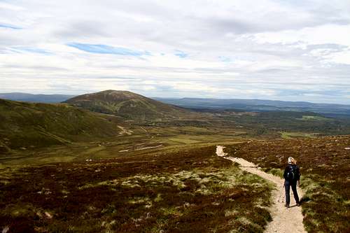 Looking north towards Meall a' Bhuachaille (810m), Cairngorms, Scotland