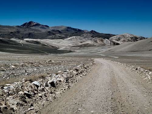The dirt road going to White Mountain Peak