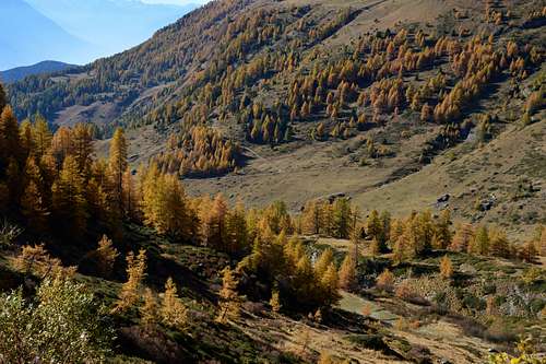 Autumn in the Ayas Valley