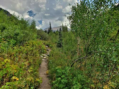 North Fork of Teton Canyon