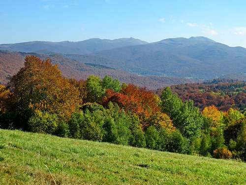 Tarnica area