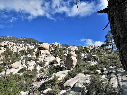Summit of Mt Lemmon, Wilderness of Rocks