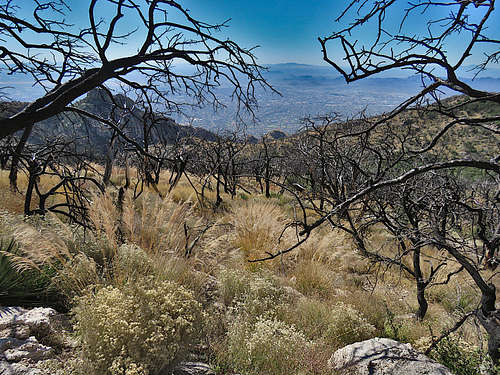 City of Tucson, Gorp Peak on the left