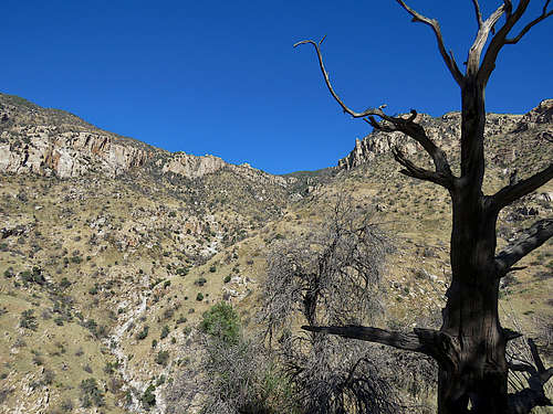 Upper Finger Rock Canyon
